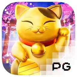 specializedtransportequipment: Lucky Neko